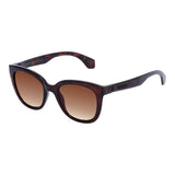 SUNGLASSES - OCCL5593