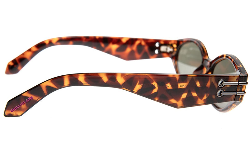 SUNGLASSES - OCCL4188