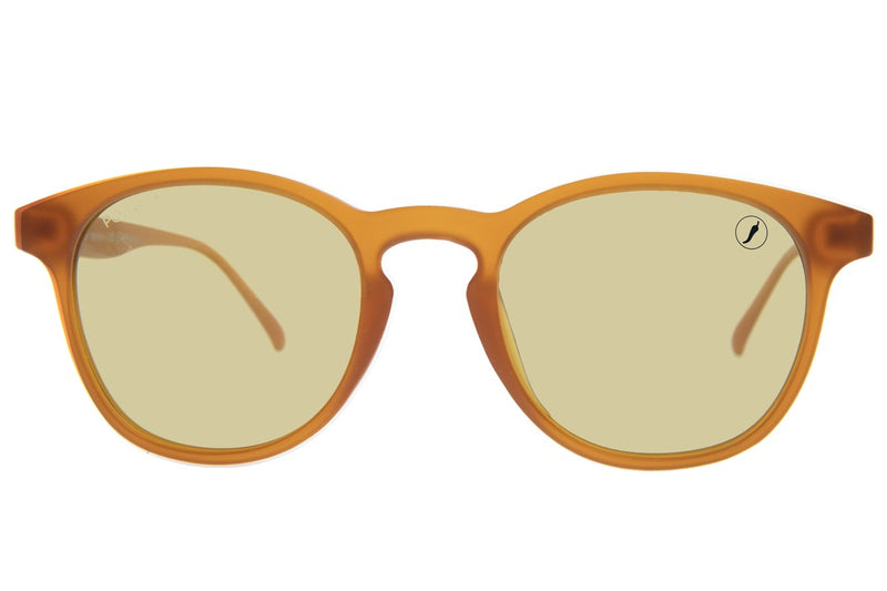 SUNGLASSES - OCCL3589