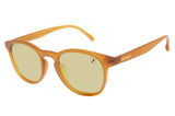 SUNGLASSES - OCCL3589