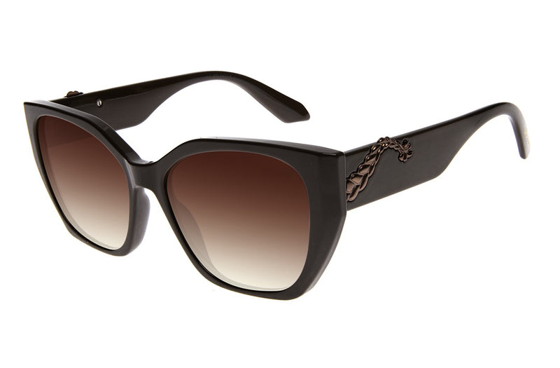 SUNGLASSES - OCCL4229