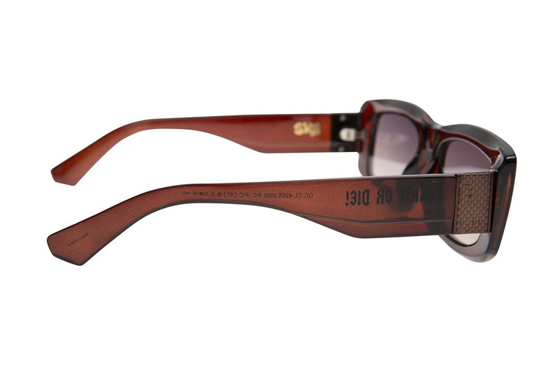 SUNGLASSES - OCCL4205