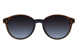 SUNGLASSES - OCCL4426