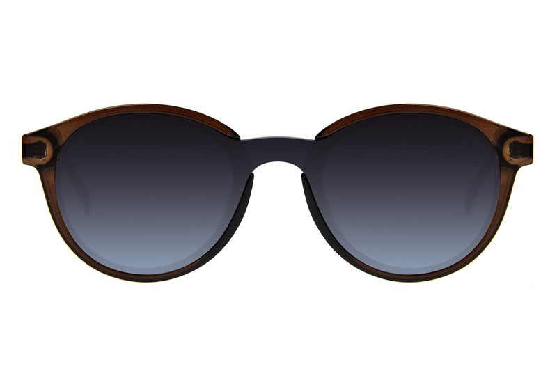 SUNGLASSES - OCCL4426