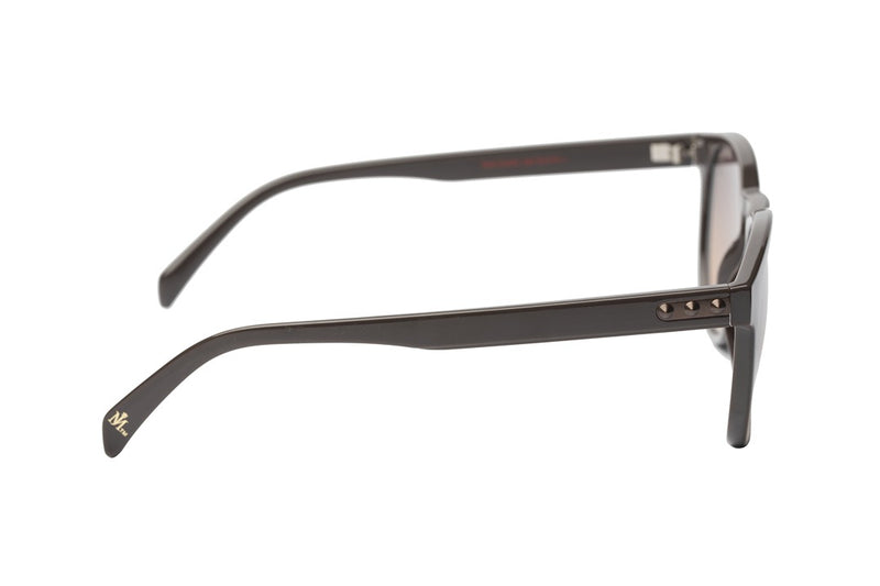 SUNGLASSES - OCCL4661