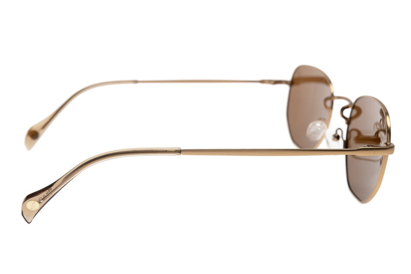 SUNGLASSES - OCMT3650
