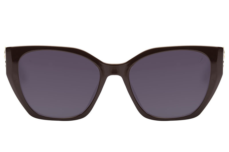 SUNGLASSES - OCCL4229