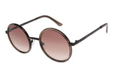 SUNGLASSES - OCCL4242