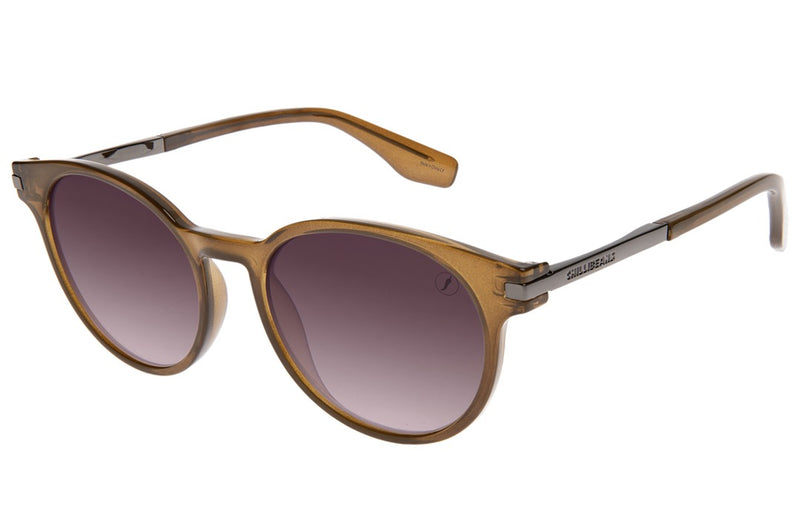SUNGLASSES - OCCL3612