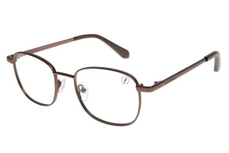OPTICAL GLASSES - LVMT0803