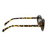 SUNGLASSES - OCCL5884
