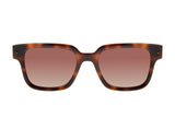 SUNGLASSES - OCCL4688