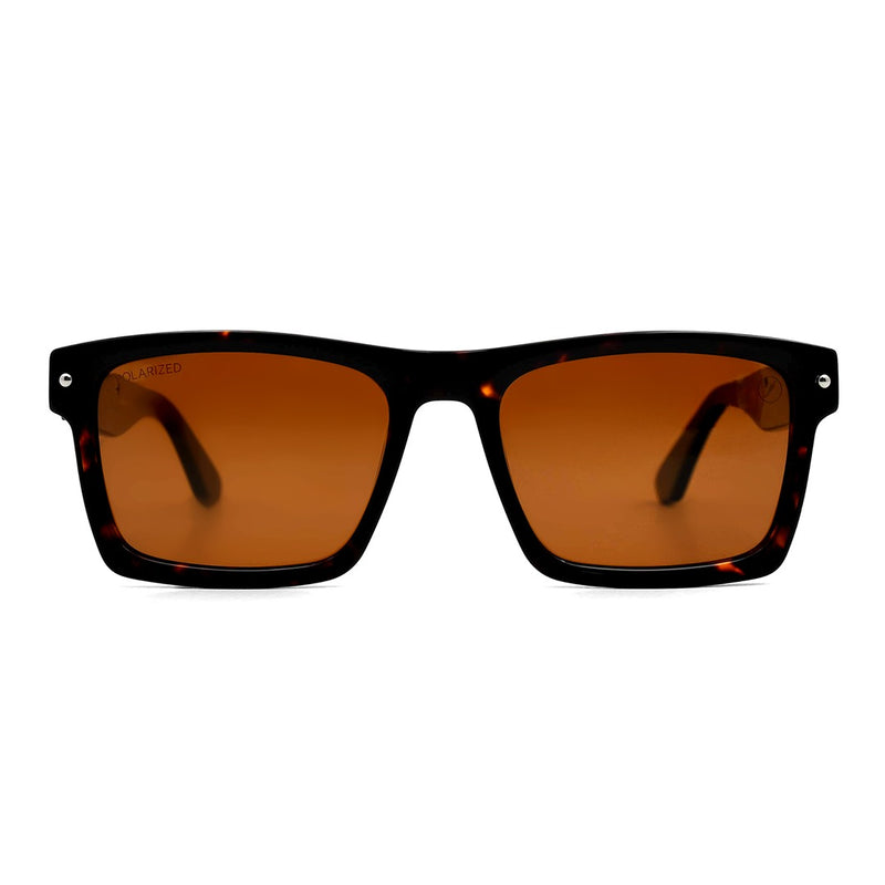SUNGLASSES - OCCL5235