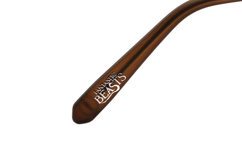 SUNGLASSES - OCCL4361