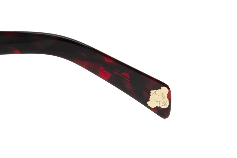 SUNGLASSES - OCCL4252