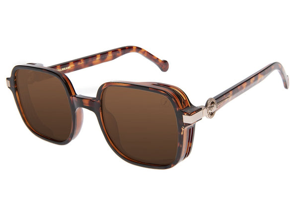 SUNGLASSES - OCCL4173
