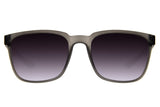 SUNGLASSES - OCCL4449