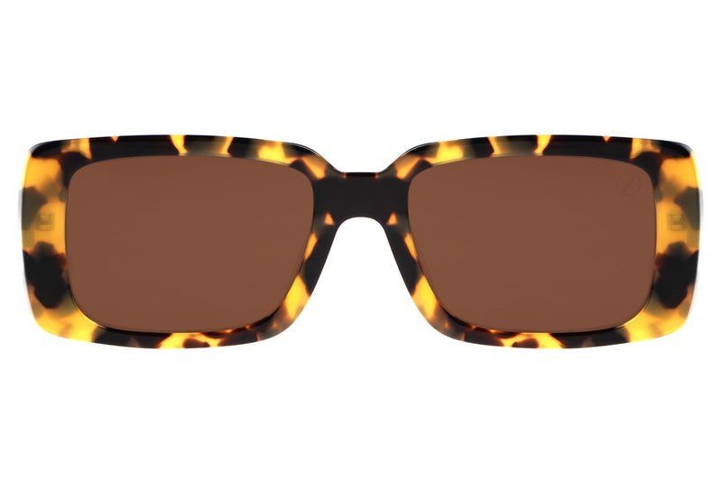 SUNGLASSES - OCCL3814