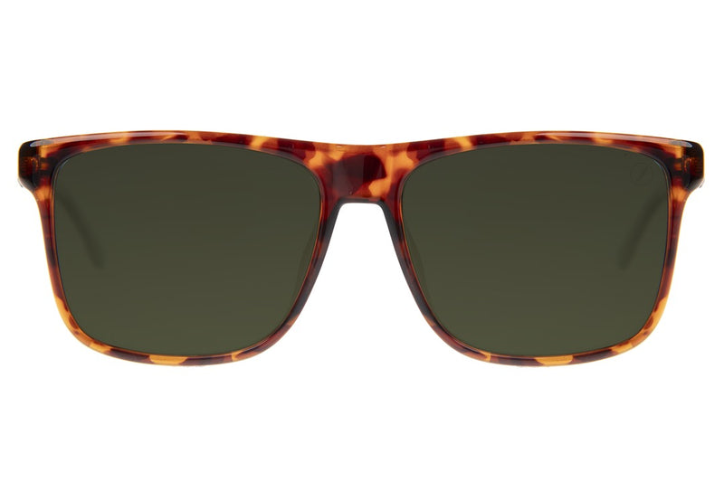 SUNGLASSES - OCCL4316