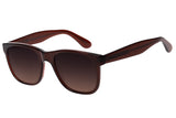 SUNGLASSES - OCCL3786