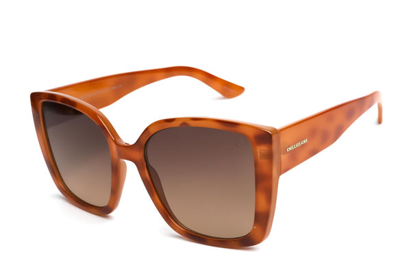 SUNGLASSES - OCCL4741