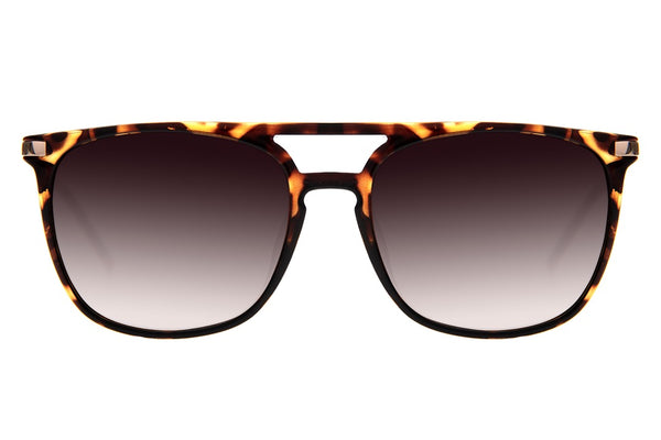 SUNGLASSES - OCCL4035