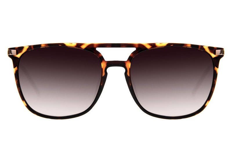 SUNGLASSES - OCCL4035