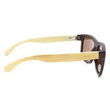 SUNGLASSES - OCCL5194