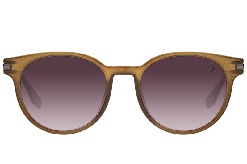 SUNGLASSES - OCCL3612
