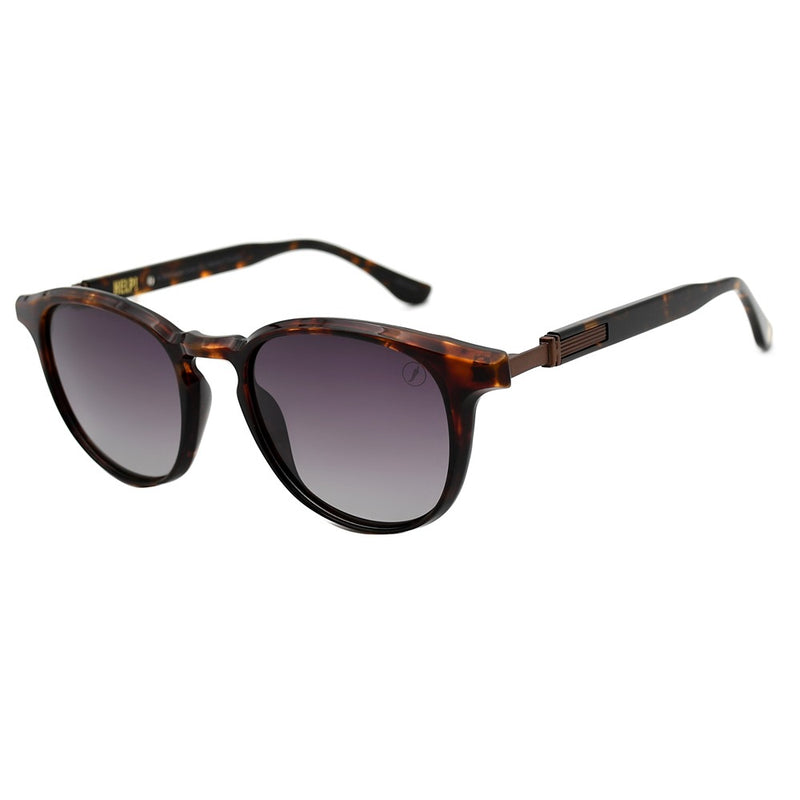 SUNGLASSES - OCCL5174