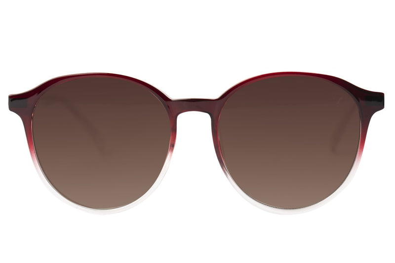 SUNGLASSES - OCCL4007