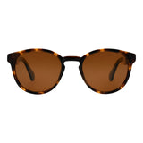 SUNGLASSES - OCCL5418