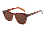 SUNGLASSES - OCCL4256