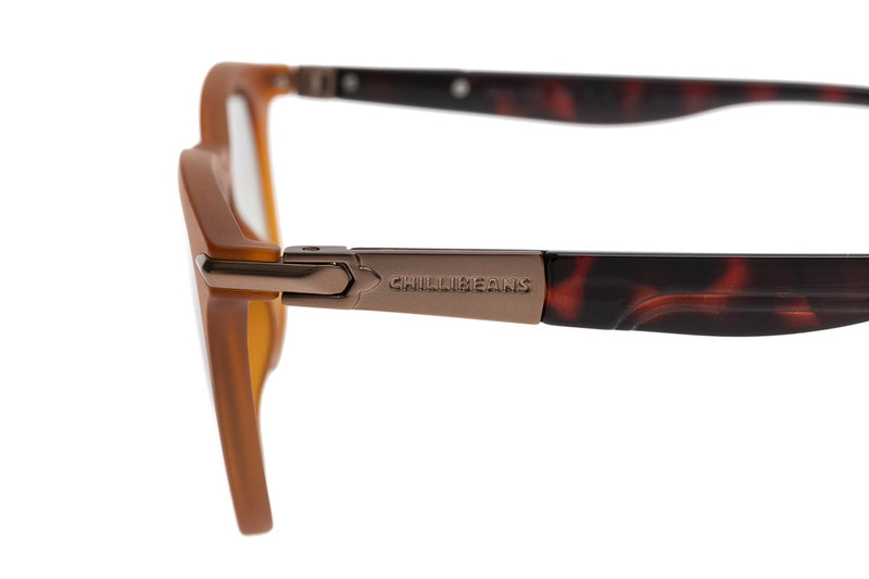 SUNGLASSES - OCCL4098