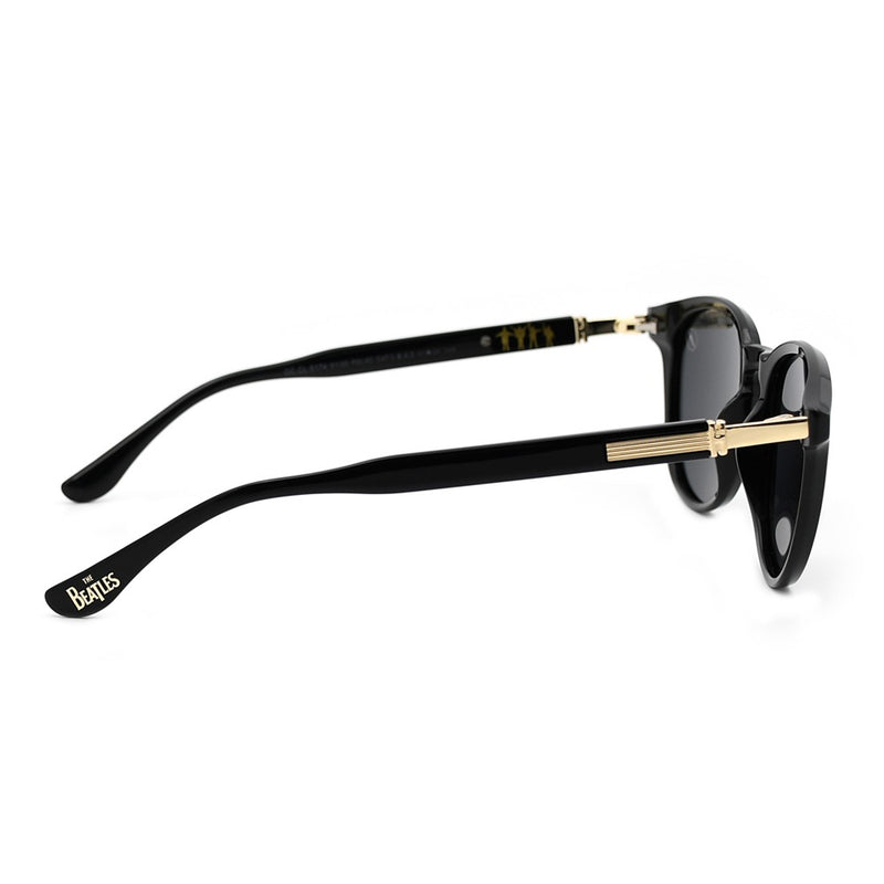 SUNGLASSES - OCCL5174