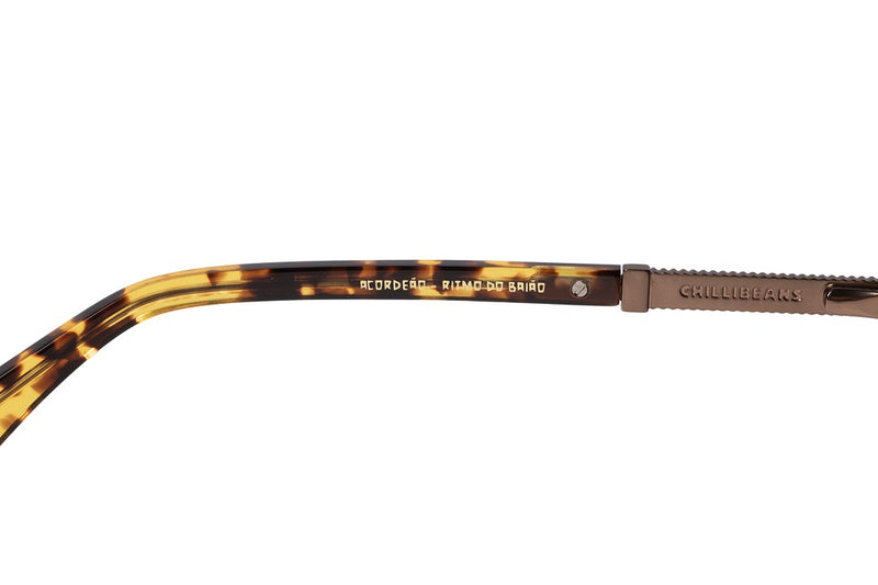 SUNGLASSES - OCMT3654