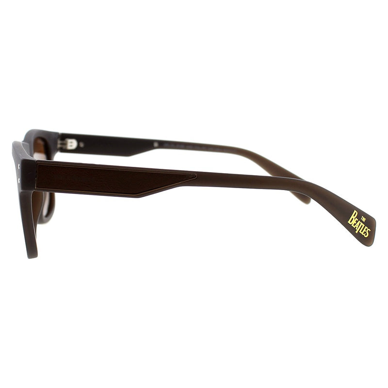 SUNGLASSES - OCCL5185