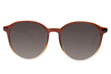 SUNGLASSES - OCCL4007