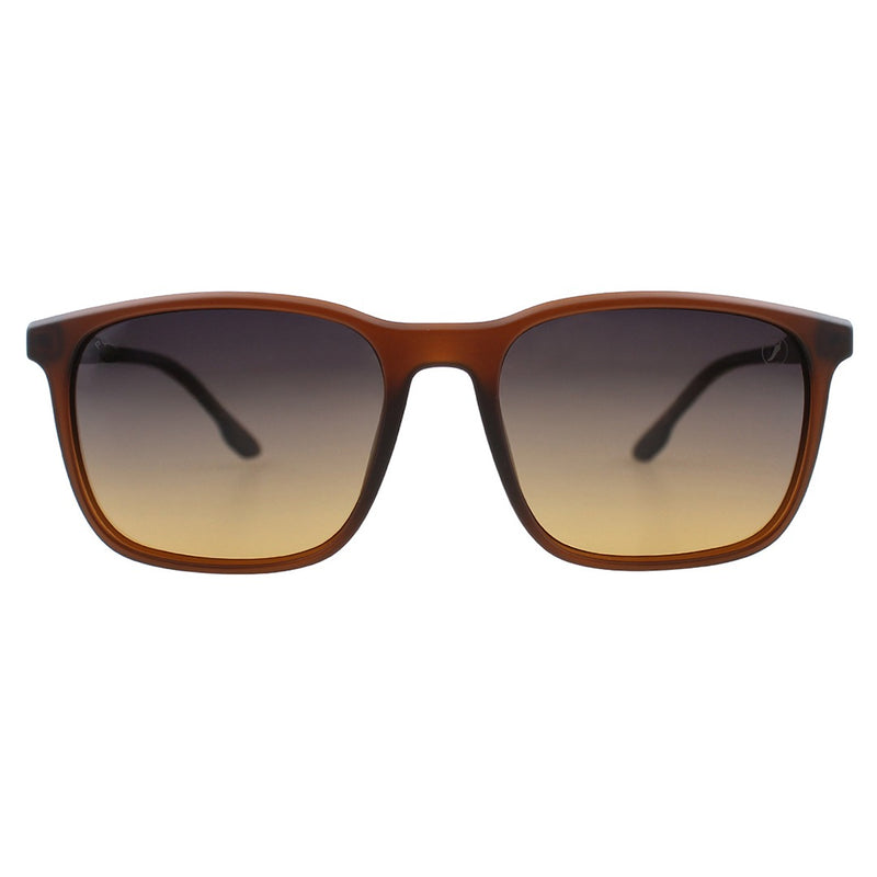SUNGLASSES - OCCL5186