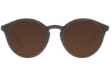 SUNGLASSES - OCCL3344