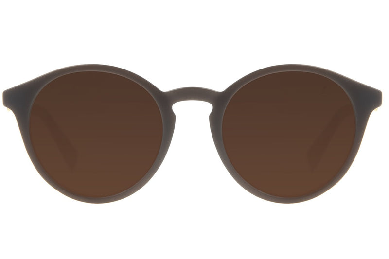 SUNGLASSES - OCCL3344
