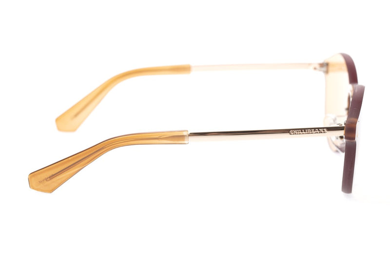 SUNGLASSES - OCCL3837