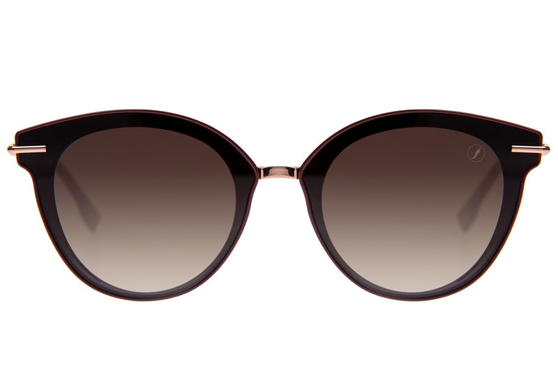 SUNGLASSES - OCCL4390