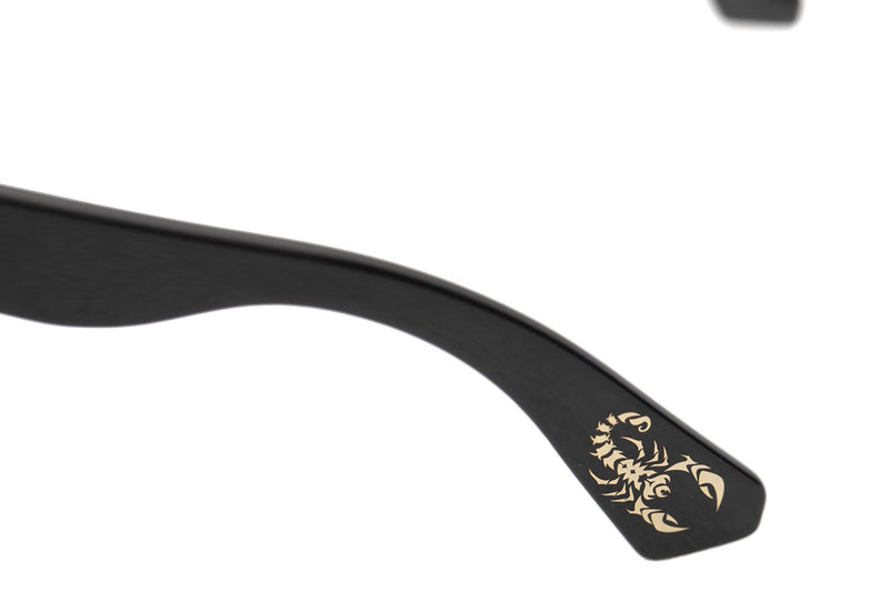 SUNGLASSES - OCCL4182