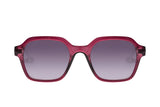 SUNGLASSES - OCCL3976