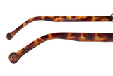 SUNGLASSES - OCCL4173