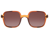 SUNGLASSES - OCCL4173