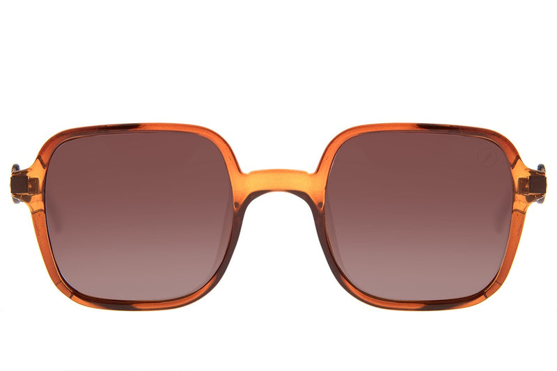 SUNGLASSES - OCCL4173