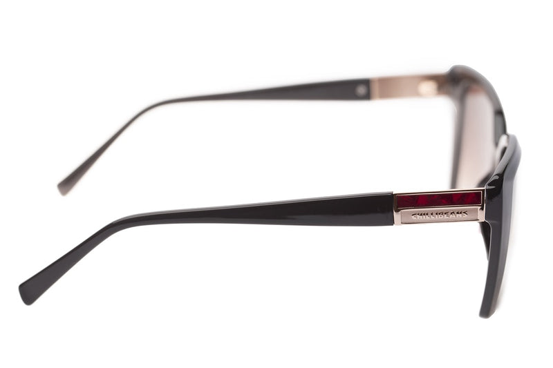 SUNGLASSES - OCCL3666