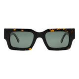 SUNGLASSES - OCCL5526